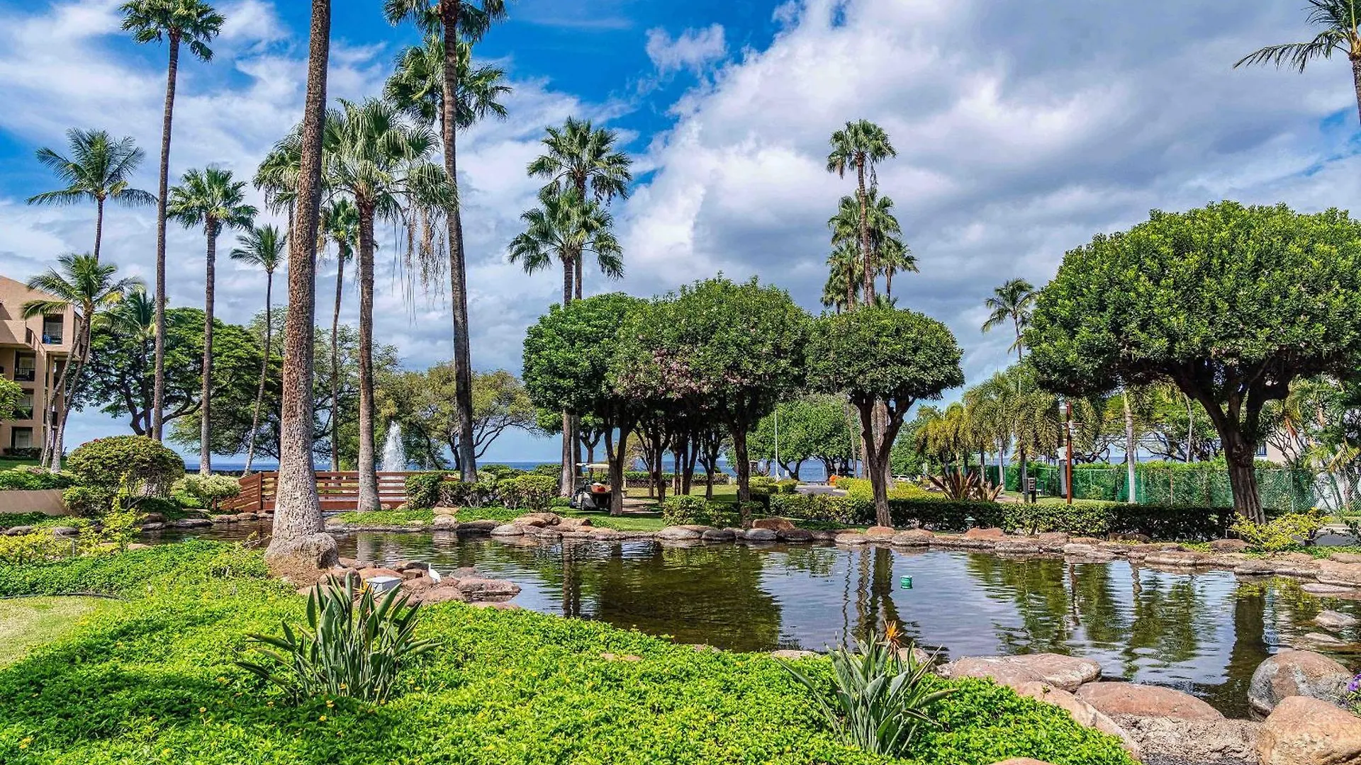Kamaole Sands 5-303, Contemporary Reno, Ocean View Wailea  0*, Wailea (Maui)