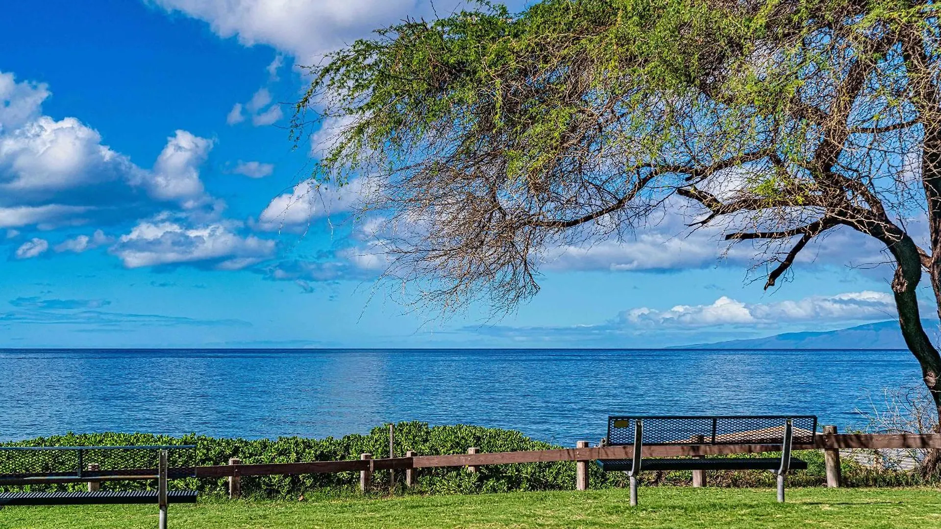 Kamaole Sands 5-303, Contemporary Reno, Ocean View Wailea  0*, Wailea (Maui) USA