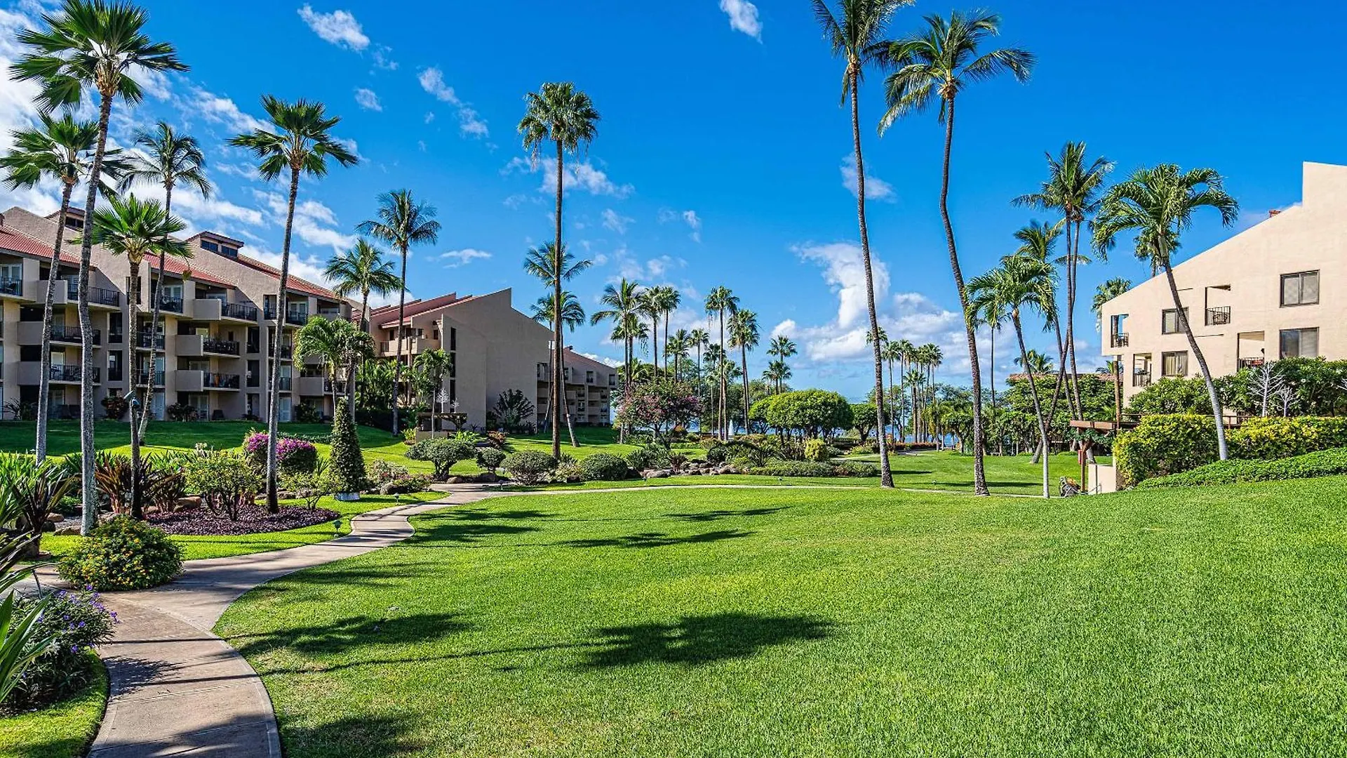 Kamaole Sands 5-303, Contemporary Reno, Ocean View Wailea  Wailea (Maui)